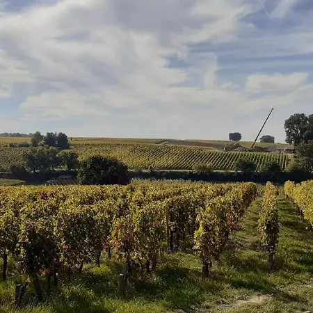 Hotes De Emilion * Сент-Эмильон