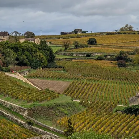 Hotes De Emilion Apartman Saint-Émilion
